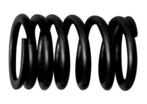 Valve spring