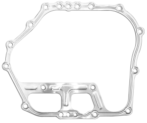 Side cover gasket